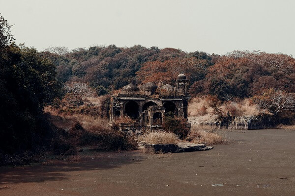 Ranthambore